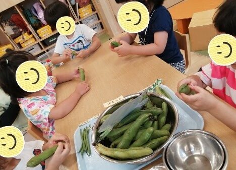 そらまめとその仲間たち | GreenHouse尼崎園（グリーンハウス）｜STEAM